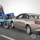 합성견인 이미지