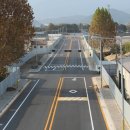 금강로 가로수길 이미지