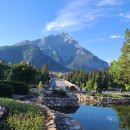 (주)초원렌트카 이미지