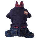 댄디애견 이미지