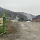 버들식당 | 이천 마장면 집밥스타일 “버들식당” 제육볶음 후기