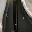 조형선외과동물병원 이미지