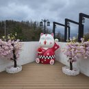 구룡료칸 이미지