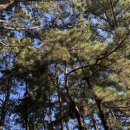 파인펜션 이미지