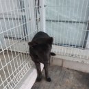 동막주유소 이미지