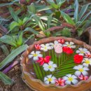 국수나무 달동점 | 나트랑 아미아나 리조트 추천 조식 수영장 할인 예약 방법