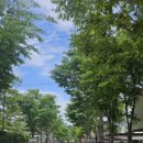 해지개5 이미지