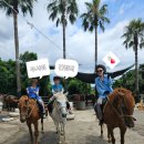 웅지승마센터 | <제주열흘살이> 중문승마공원, "바다 view"/ 승마체험 비교