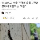 해충 아닌 익충이라 방역도 안한다는 요즘 벌레 이미지