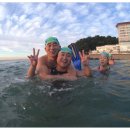 10.10 해운대 부산바다수영사랑 이미지