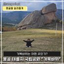 몽골 테를지국립공원 거북바위 보고 온 솔직 후기 독수리 체험도 했어요.