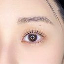 흙담솔로 | [제주_서귀포] ‘속눈썹 펌’ 추천 솔직 후기_서홍동 연하다