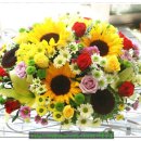 청보리 농장 이미지