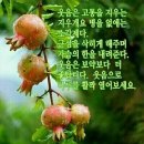 멋진남자멋진여자