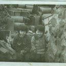 삼부상회 - 동대문구 | 삼부상회