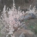 미선농장 이미지