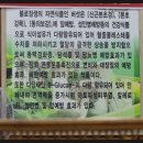 지리산버섯골 이미지