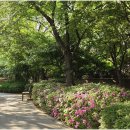 권선자이114공인중개사사무소 | 안전하고 신뢰할 수 있는 권선동권선자이 공인중개사 서비스로 새로운 집 찾기