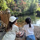 중심카TOWN 이미지