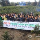 신효동-31 이미지