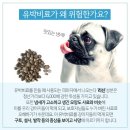 멍삼이네