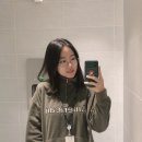 파이어씨드 이미지