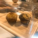 카페루바토 - 11773 | 카페루바토
