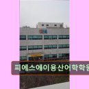 피에스에이용산어학학원