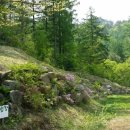 고향꽃화원 이미지