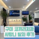 구미 코끼리치과 사랑니 발치 후기