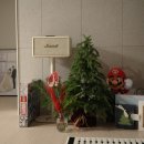 배꼽하우스 | 🍬임신 26주 일상, 부산 명지 베이비하우스 브라이텍스 카시트 구입 후기