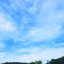 초막골생태공원 이미지