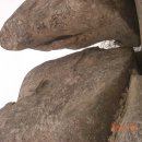 남원고을 이미지