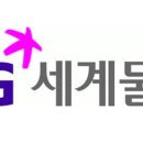 SG세계물산