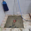 동신건강원 네이버블로그