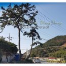 백송식당 이미지