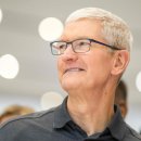 애플태양광발전소4 이미지