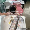 김포 앵무새카페 / 김포 풍무동 버드리 (입장료&amp;먹이주기체험)