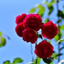 화암농장 이미지