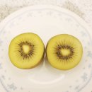 김순자농장 이미지