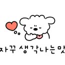 엄가네도토리 이미지