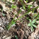 골짜기농장 이미지