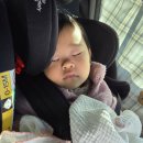 은동이네 이미지