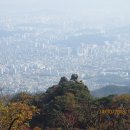 대동사 이미지