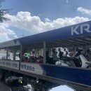 욜로모터스 이미지