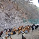 부실농장 이미지