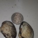 인이수산 이미지