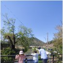 청명한우농장 이미지