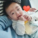 노르디스크현대충청 | 2022.01.17-23. 일상기록