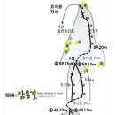 서이천로 3 Daum카페